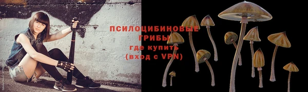 не бодяженный Арсеньев