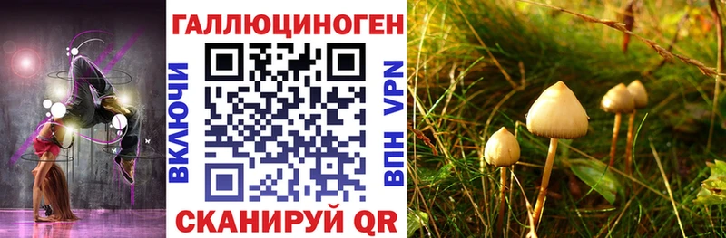 Псилоцибиновые грибы мухоморы  купить  сайты  Арск 